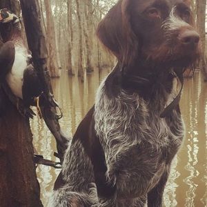 Meet your Posher, Justin